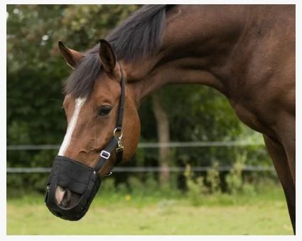 Gressmaske med hull til nesebor.