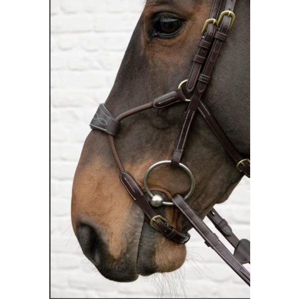 Dyon Elastic Hybrid Noseband Bridle D Collection - Bilde 2