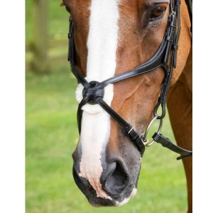 Glorioso meksikansk nesereim